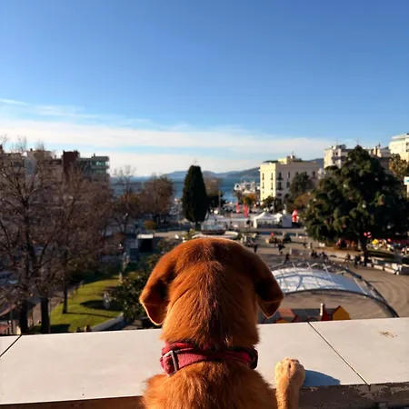 Urban Flat 2026 - At Square - Pet Friendly Διαμέρισμα